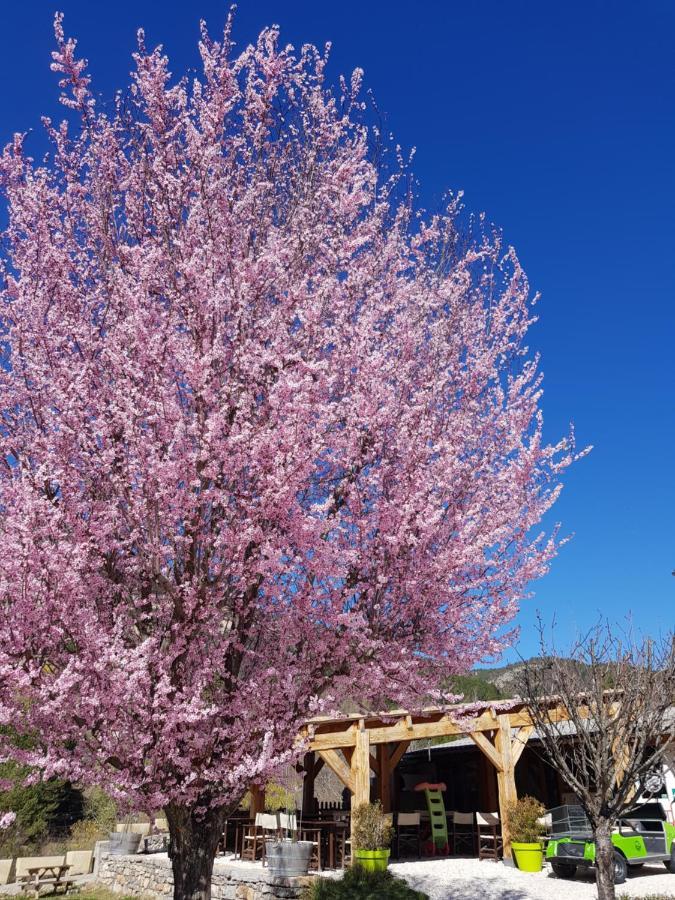 קסטלאנטה Camping Calme Et Nature מראה חיצוני תמונה